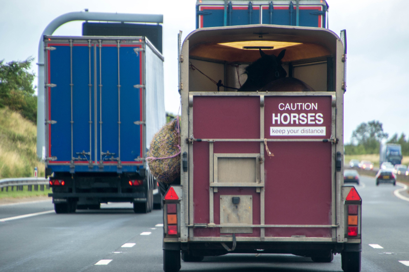 Equine Transport Services Surrey, Kent, Sussex And UK Wide