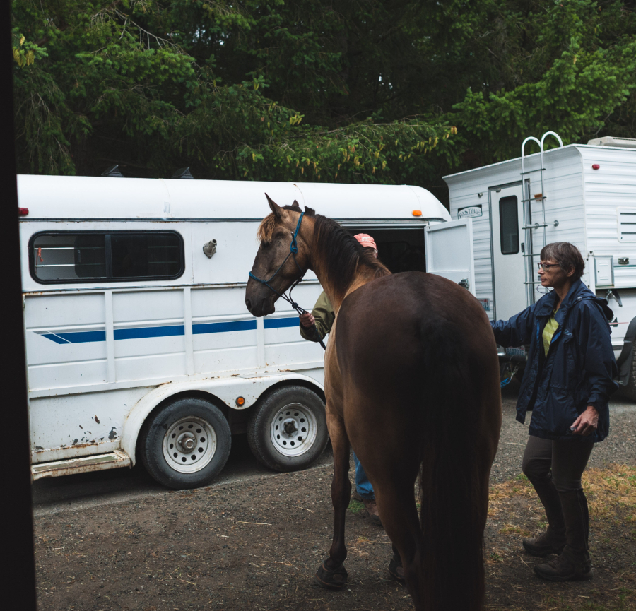Horsebox Hire With Driver Surrey, Kent, Sussex And UK Wide